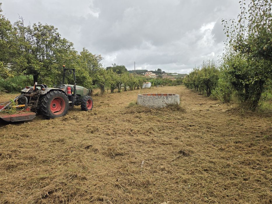 Limpeza de terrenos/Quintais/florestais