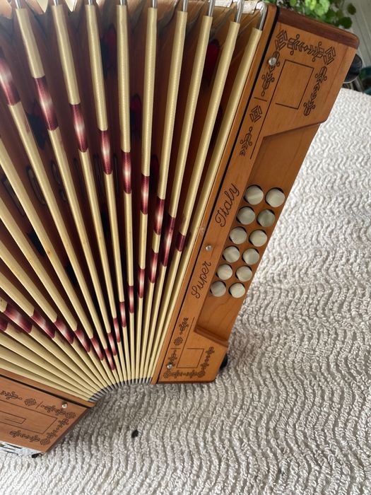 Vendo concertina da Famosa marca Pedrosini