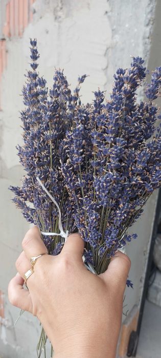 Suszona lawenda 100 g