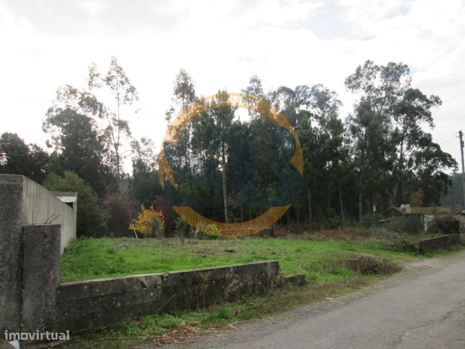 Terreno Construção Souto