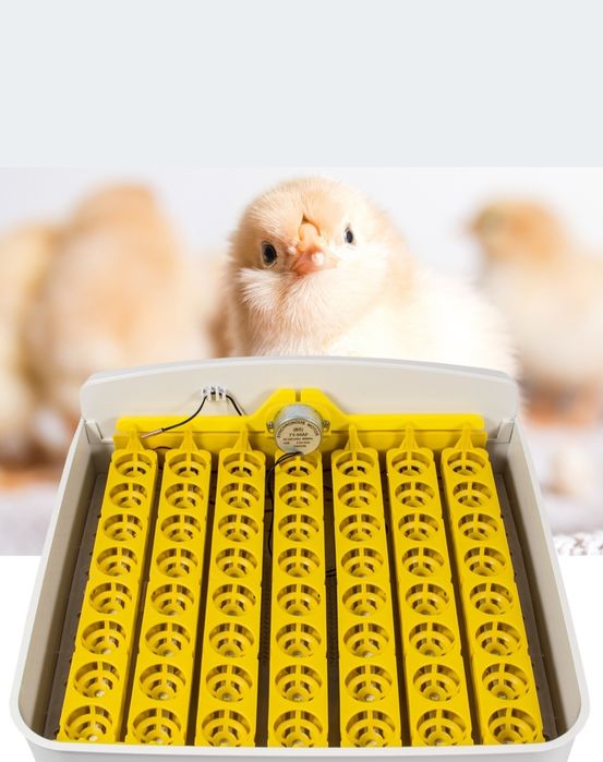 Sprzedam inkubator do jajek automatyczny.