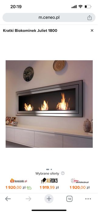 Bio kominek firmy kratki