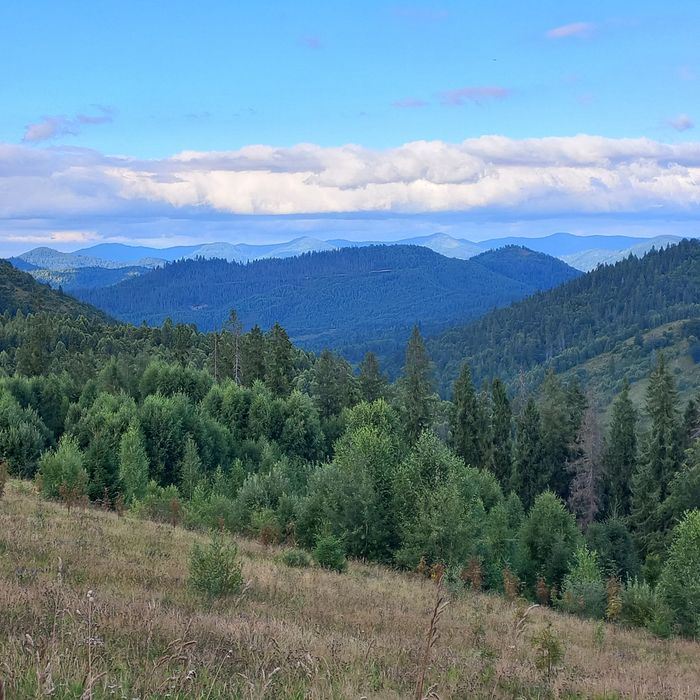 Продається земельна ділянка для ведення садівництва