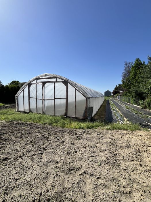 Tunel foliowy 7,5m x31,5m folia 10 sezonowa