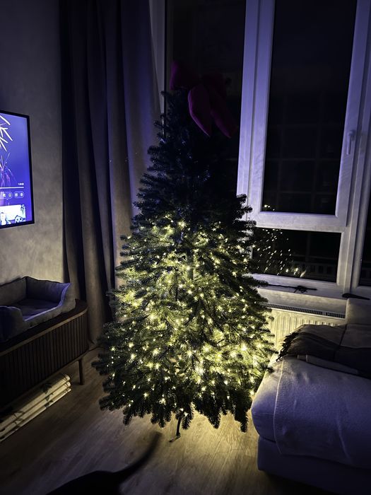 Гірлянда-роса 100 метрів