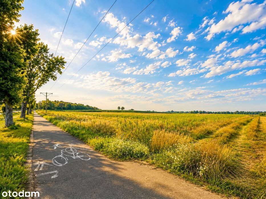 Działka inwestycyjna 8100 m² | WZ do 24 domów | Chociule - Widok 2