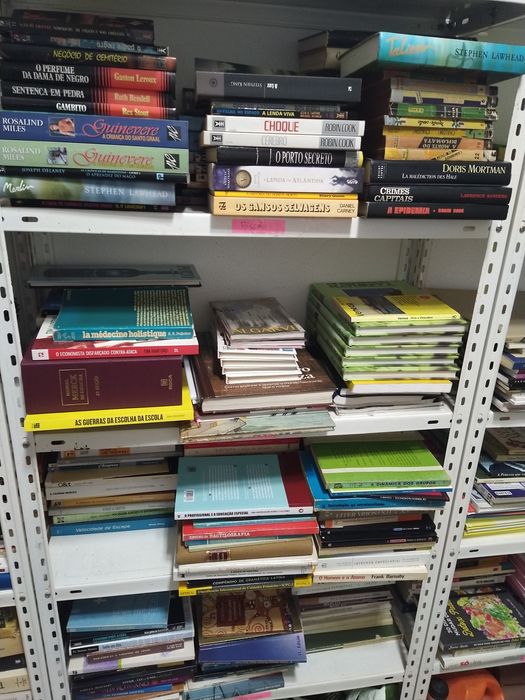 Lote de livros varias temáticas