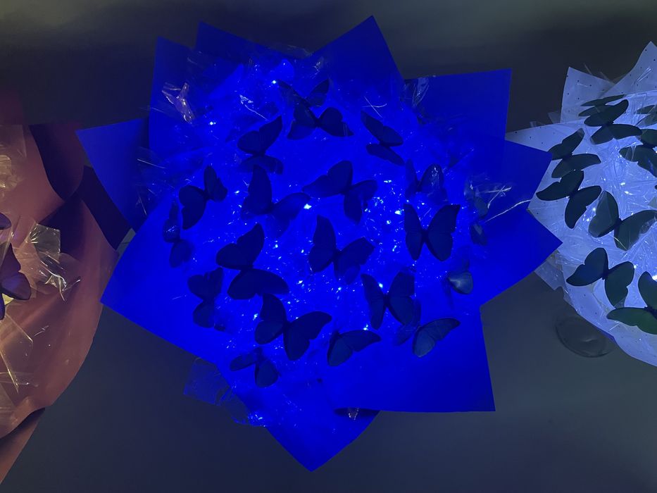 Bukiet motyli z podświetleniem