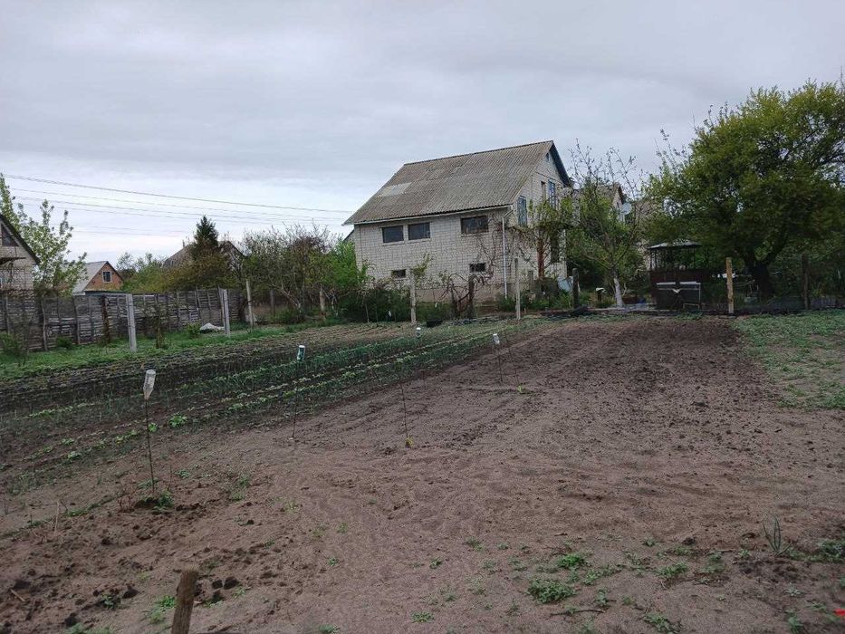 Дача біля р. Рось і Дніпро, с. Хрещатик