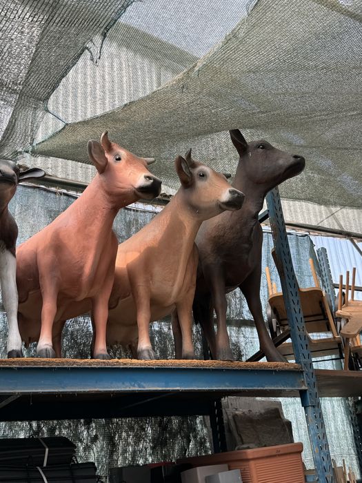 Vacas, tourinas, vitelas | Fibra | Tamanho Real | Animal