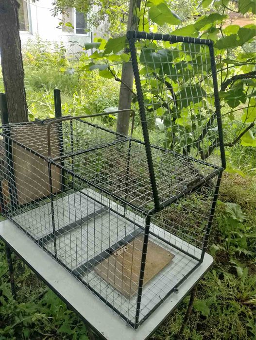 Ловушка на хищников