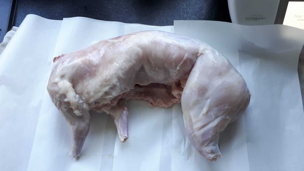 królik tuszka, termondzki, baran francuski