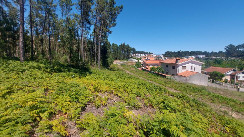 Terreno rústico -  zona de Construção. PASSÍVEL REDUÇÃO DE ÁREA