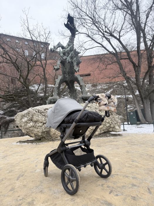 Bugaboo Fox Reneew