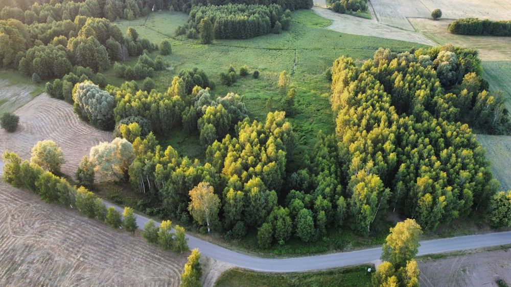 Działka z warunkami zabudowy