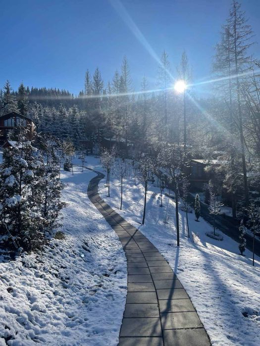 Квартира,апарти,бізнес в Буковелі фенікс phoenix