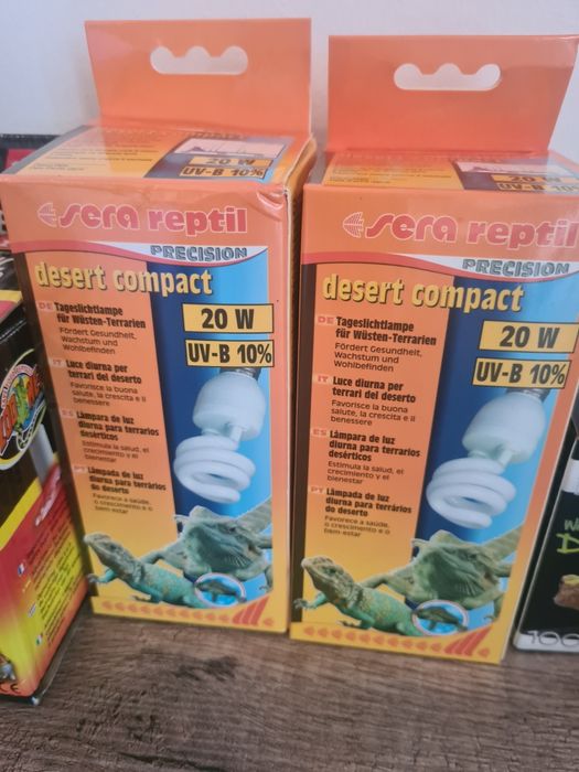 Terrario & Acessórios