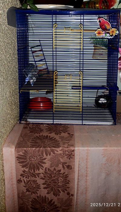 Клетки. Пара попугаев!