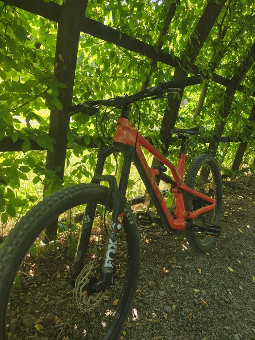 Canyon Specialized