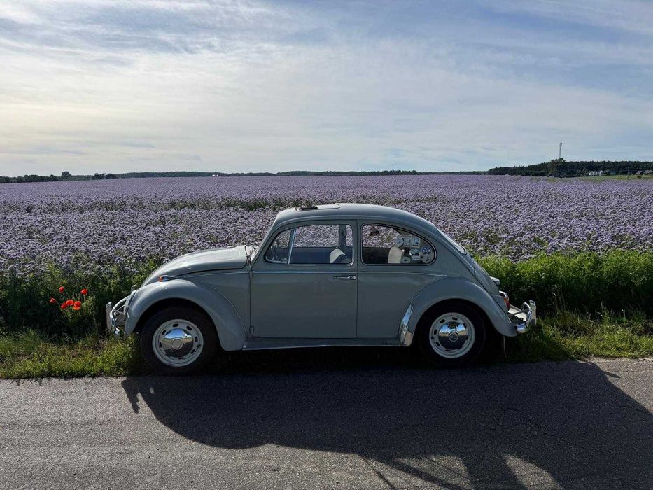 VW Garbus 1966r.