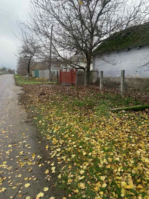 Продам будинок с.Острів