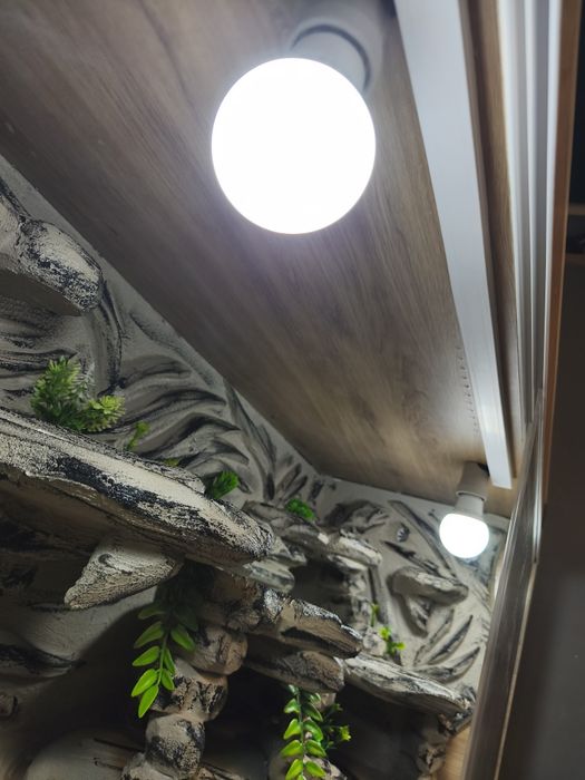 Terrarium agama gekon jaszczurka WYSYŁKA