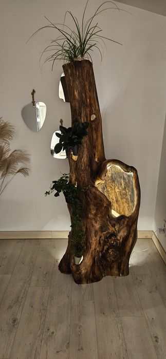 Pień dębowy kwietnik/oswietlenie