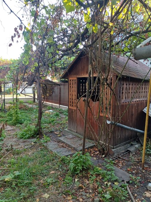 М.Новоселиця. Продається будинок