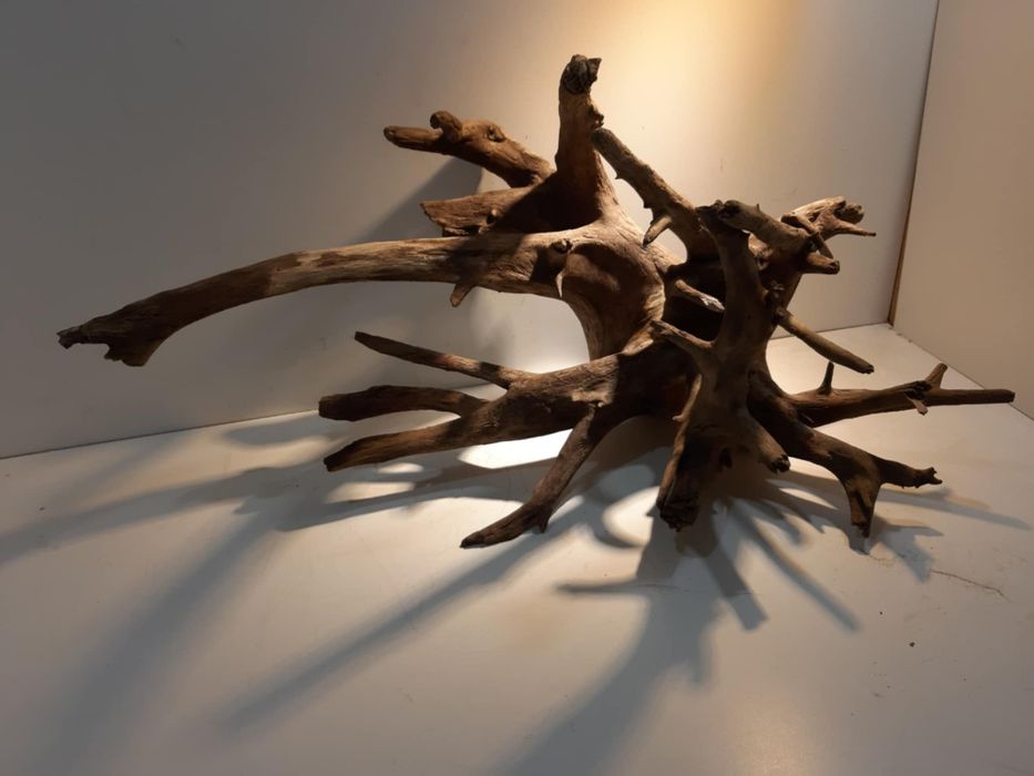 Korzeń do akwarium/terrarium