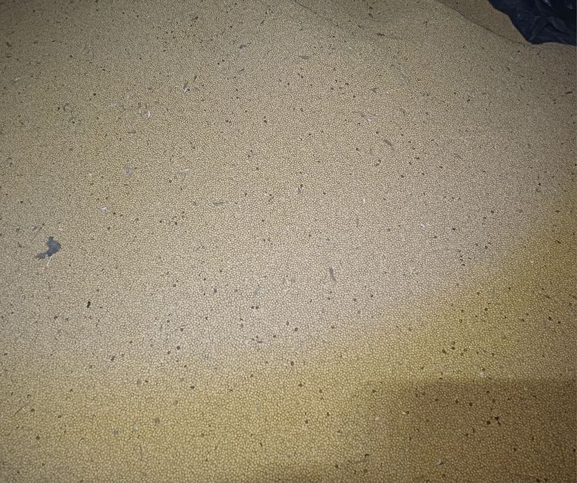 Sprzedam soję -Abaca