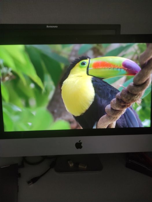 Моноблок Apple iMac Late 2013 21.5" FullHD IPS i5-4570s\8 Gb\1 TB