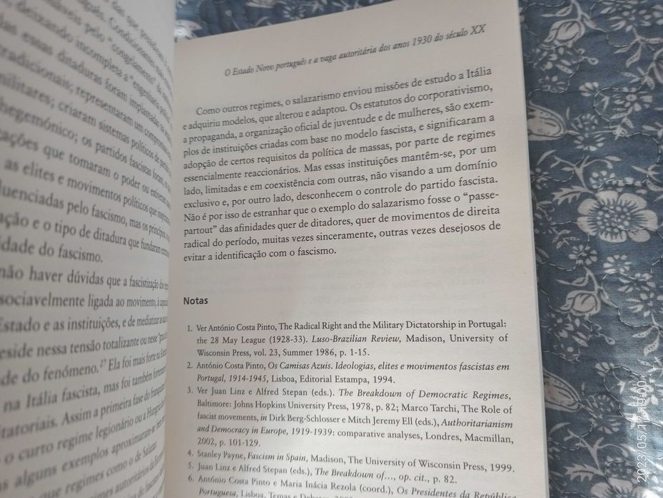 O Corporativismo em Português