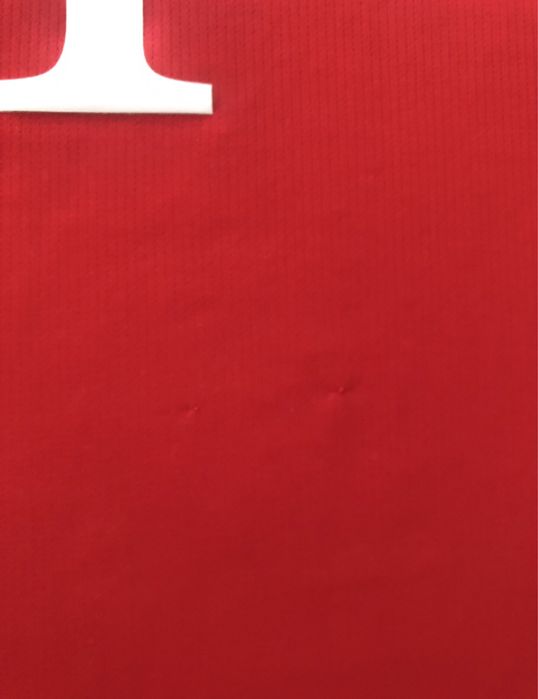 Koszulka Bayern Monachium Niemcy Bundesliga