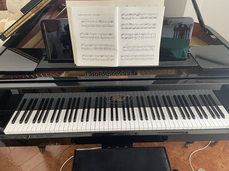 BAIXA PRECO - Piano cauda IBACH / modelo FIII - Richard Strauss