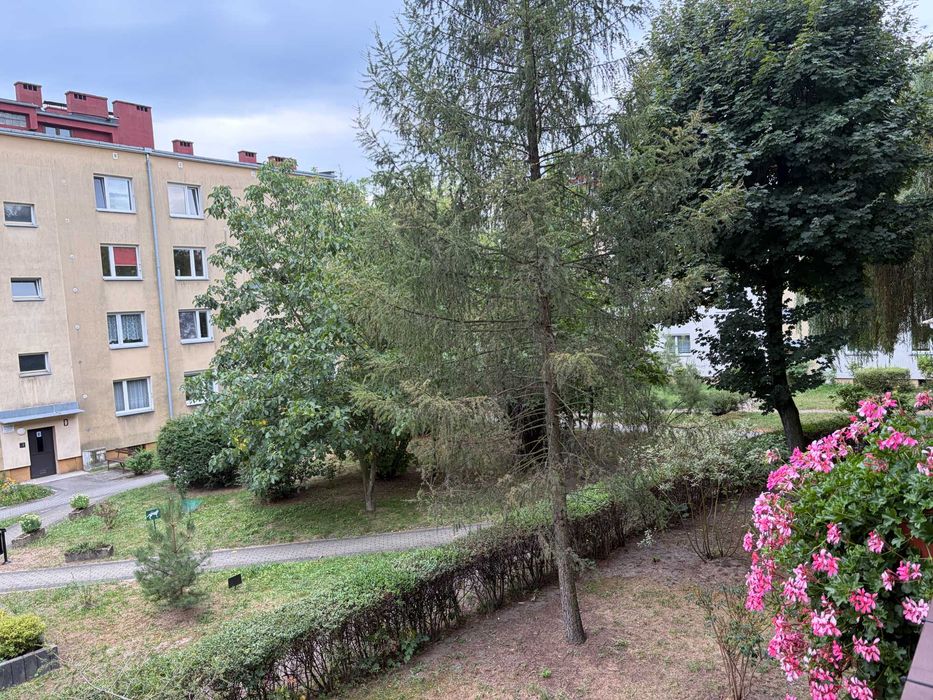 Zdjęcie 8