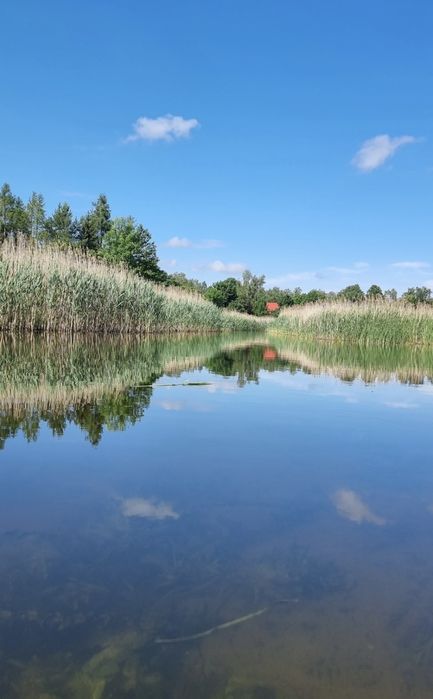 Domek nad wodą przy Parku Biebrzańskim
