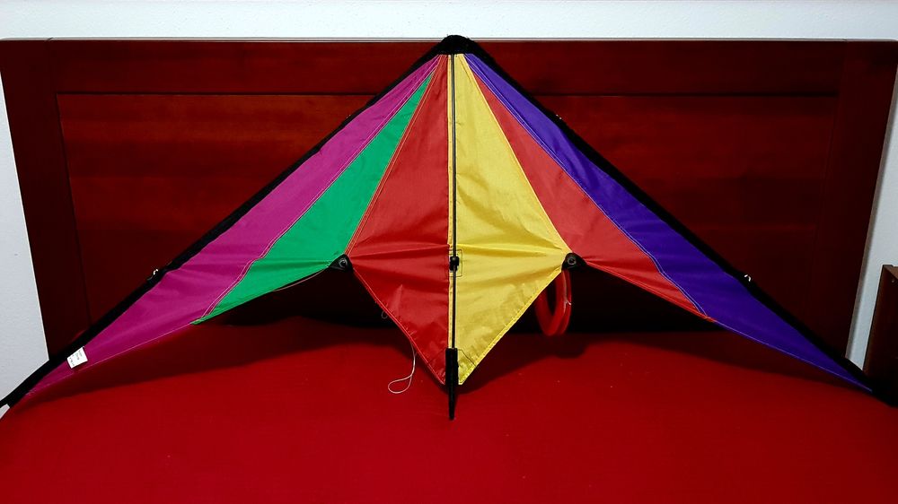 Papagaio de Manobras Acrobático – Cores Vibrantes (Como Novo)