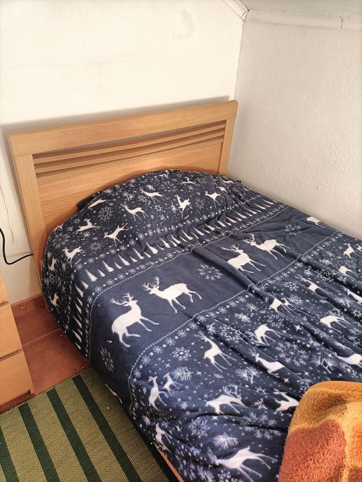 Cama individual (90x200) + 1 oferta