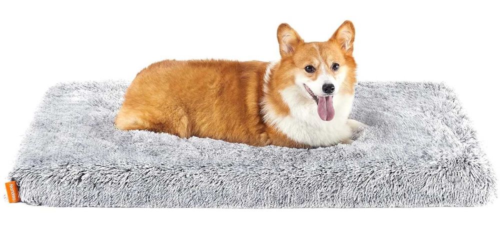 LEGOWISKO Ortopedyczne Poduszka Dla Psa Kota