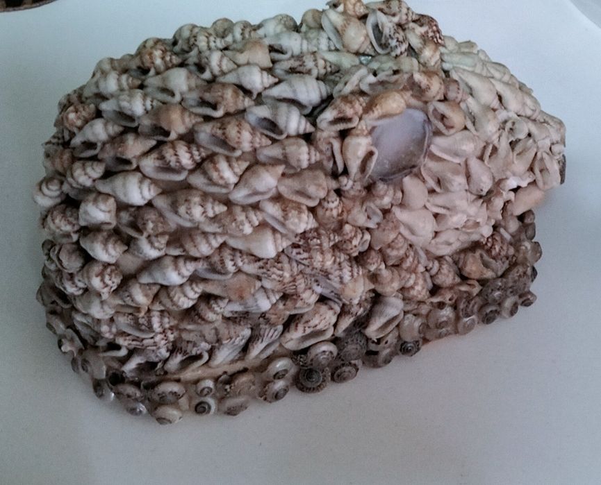 Conjunto 7 Conchas originais muito antigas