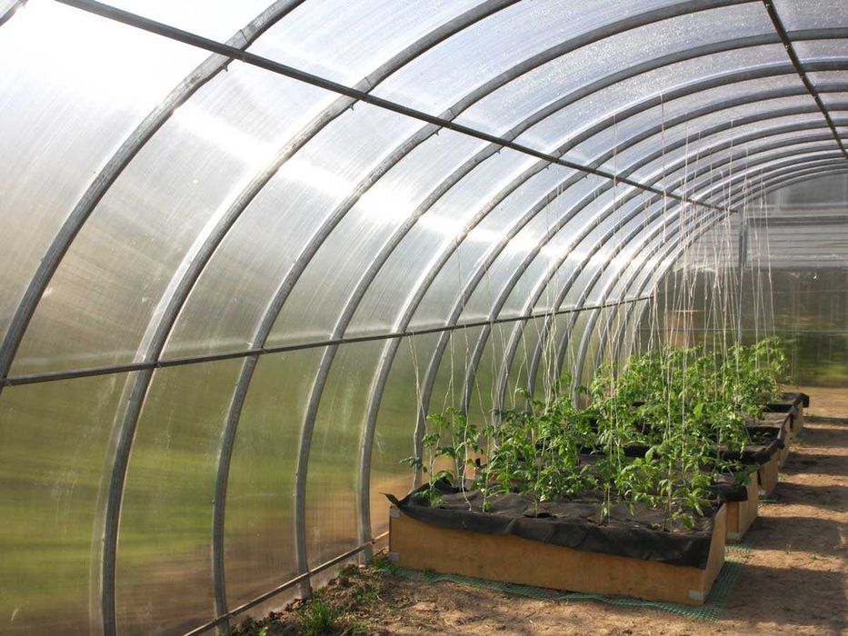 Szklarnia Tunel Ogrodowy Poliwęglan 4/6mm 4m x 4/6/8/10 Profil 40x20mm