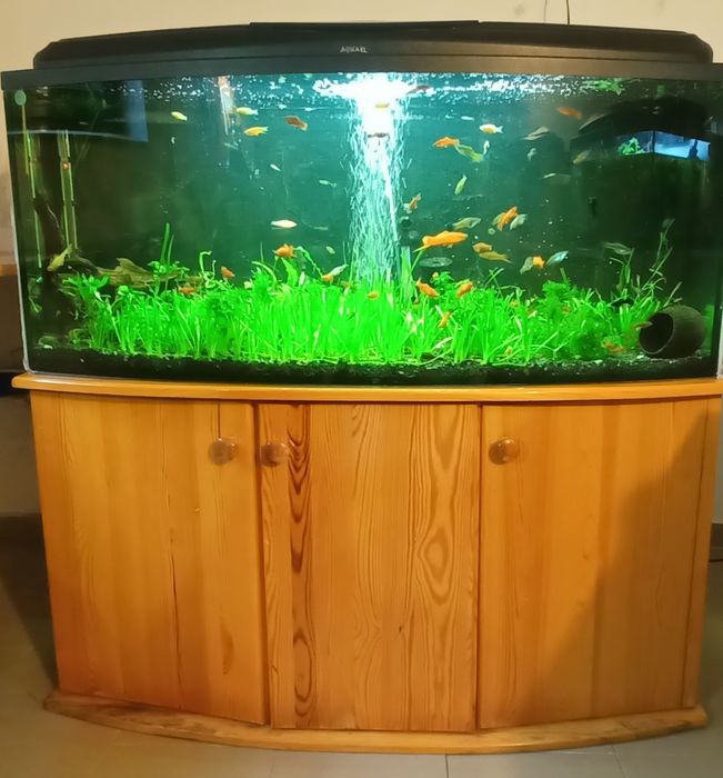 Akwarium Aquael 350l z szafką i całym osprzętem-życiem.