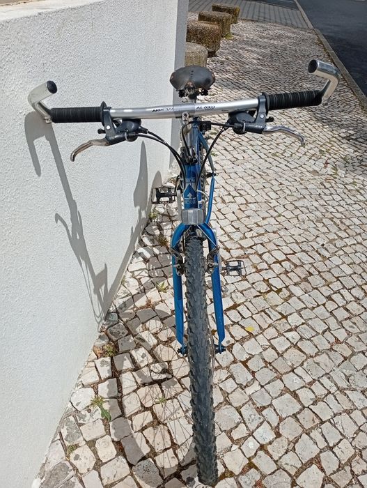 Bicicleta de montanha