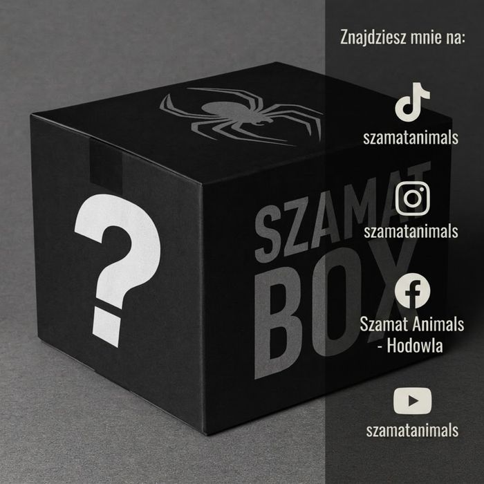 MysteryBox +100% Wartości (Ptaszniki,Pająki Właściwe)