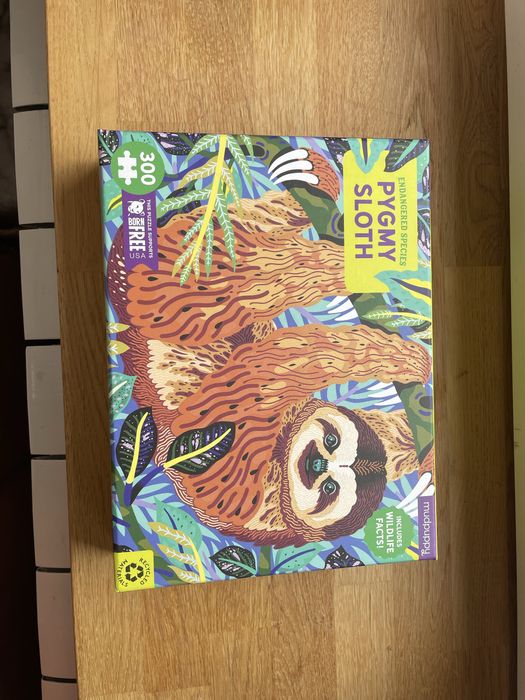 Puzzle pygmy sloth