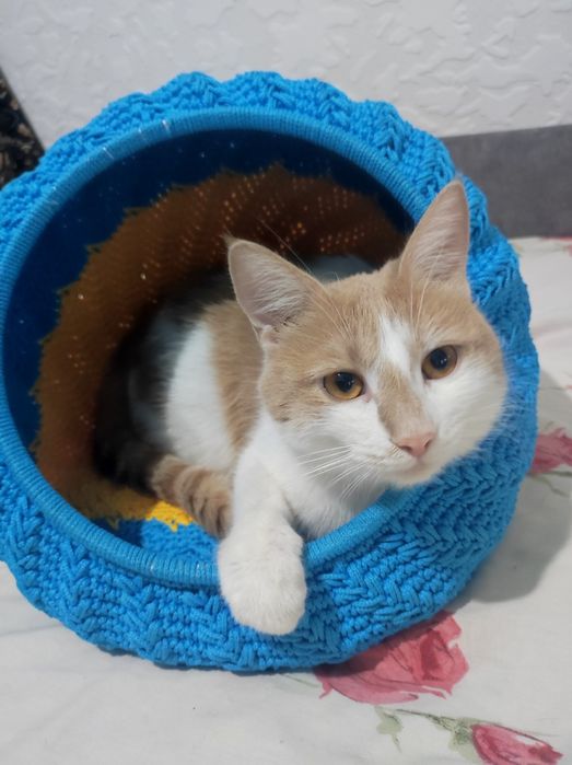 Вязаний домик -лежанка для кота или собачки