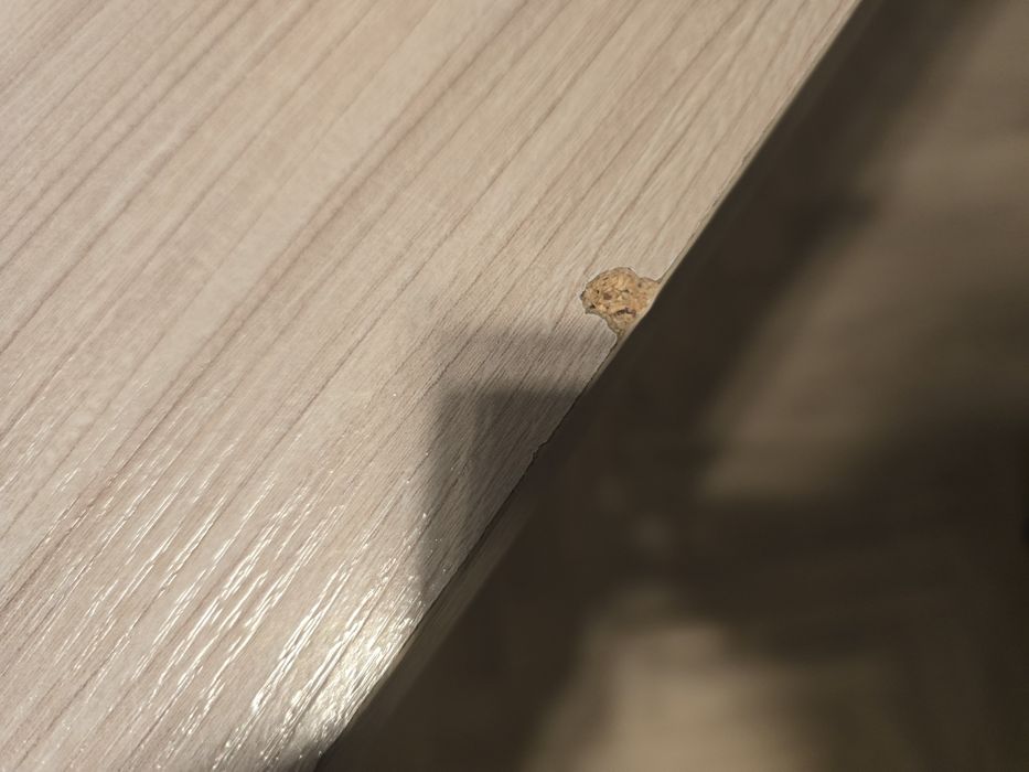 Stół do jadalni/kuchni Bodzio