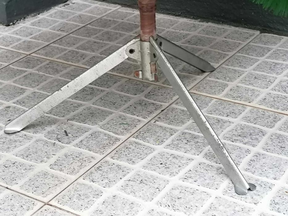 Pinheiro de natal verde