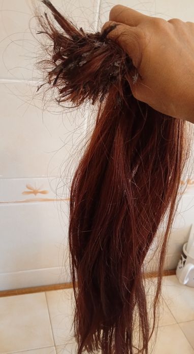 Cabelo humano regional brasileiro