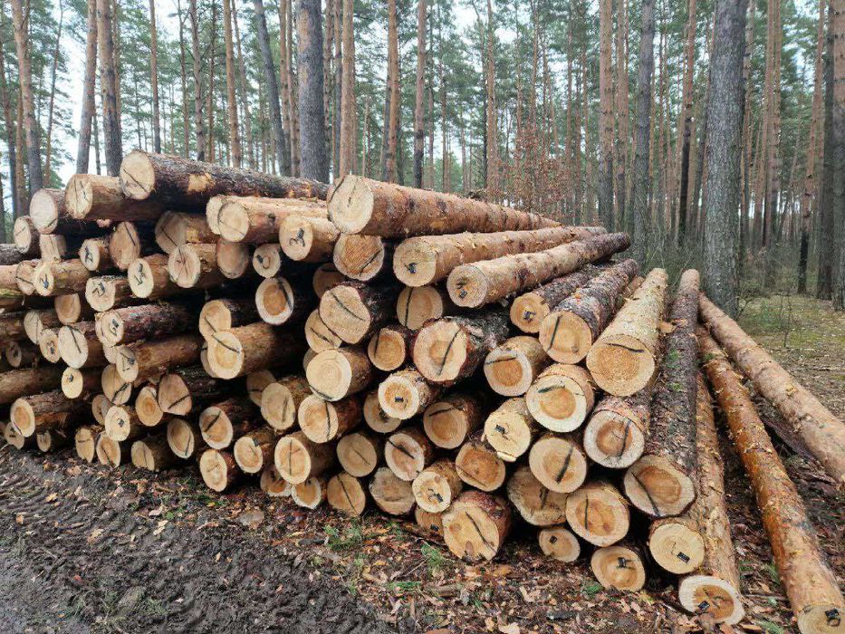 Кругляк (колоды) диаметр 15-25 мм. Длина от 4 до 6м. Все виды оплат